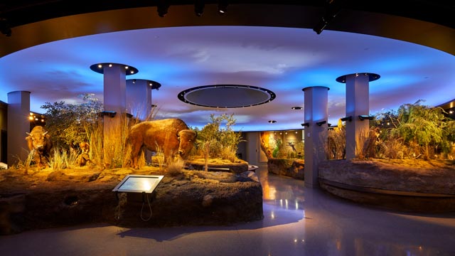 Witte Museum