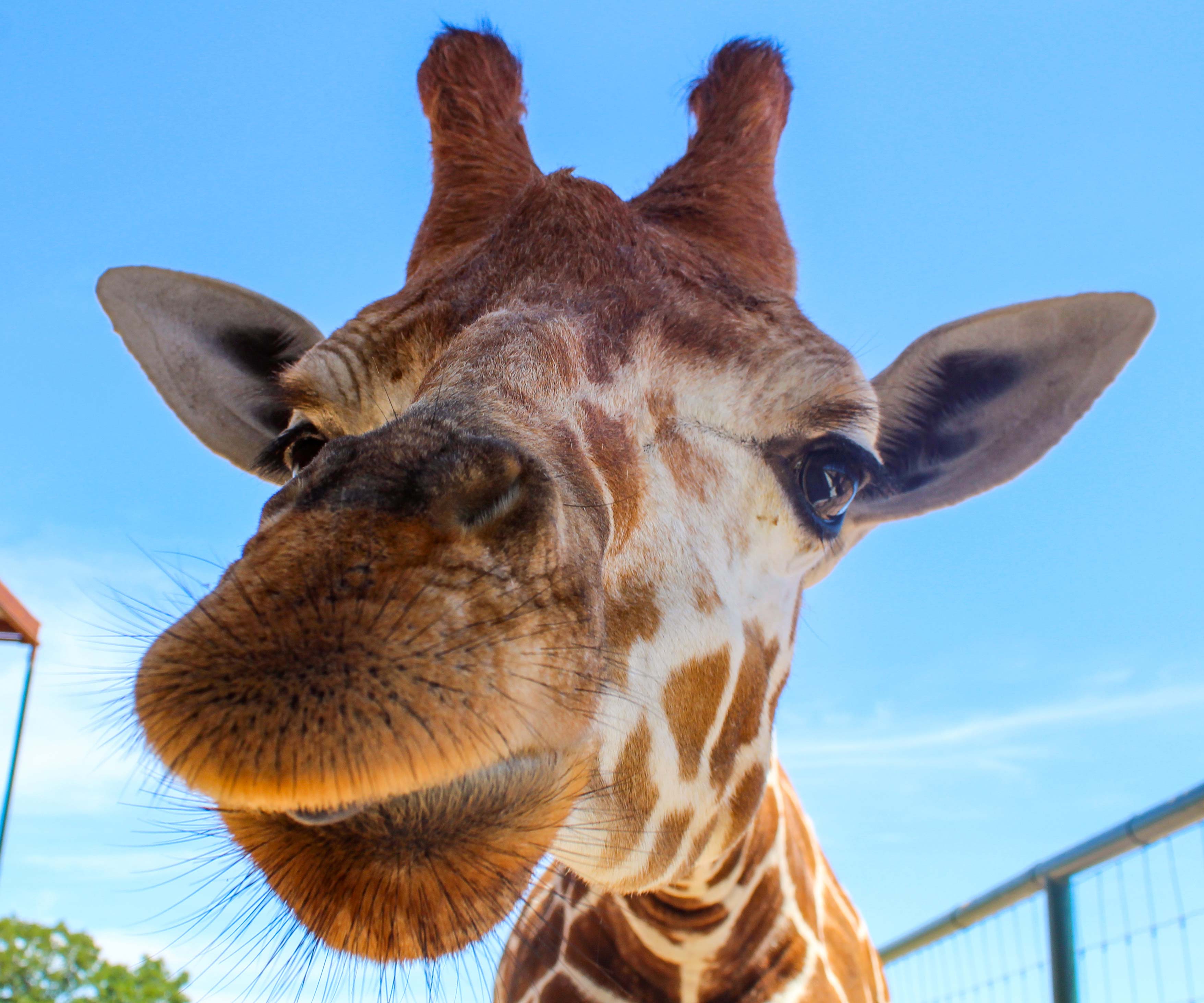 5 Things You've Got to Do in College Station this Summer Tour Texas